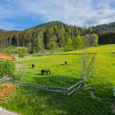 Huberhof 1 By Alpenidyll Apartments Schladming Luaran gambar