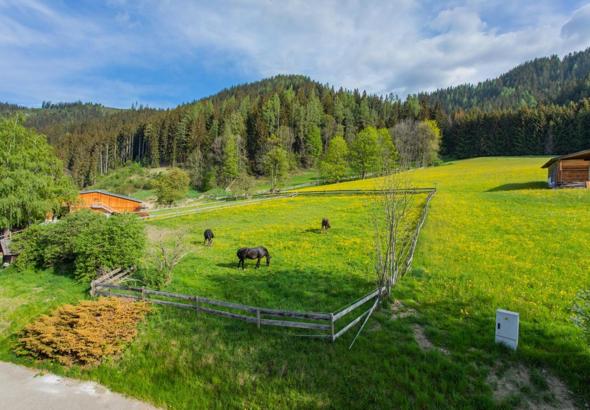 Huberhof 1 By Alpenidyll Apartments Schladming Luaran gambar